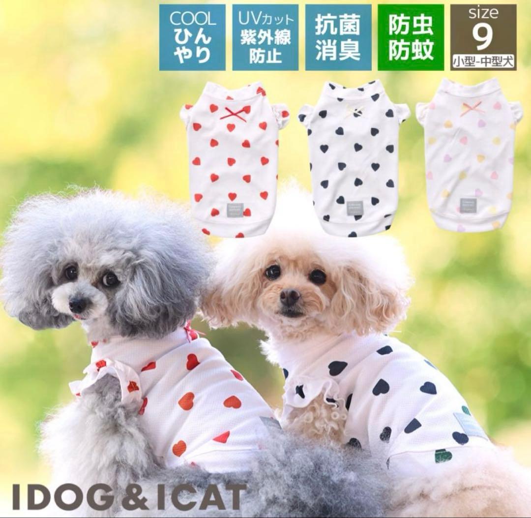 Brand new unused ♡ iDOG