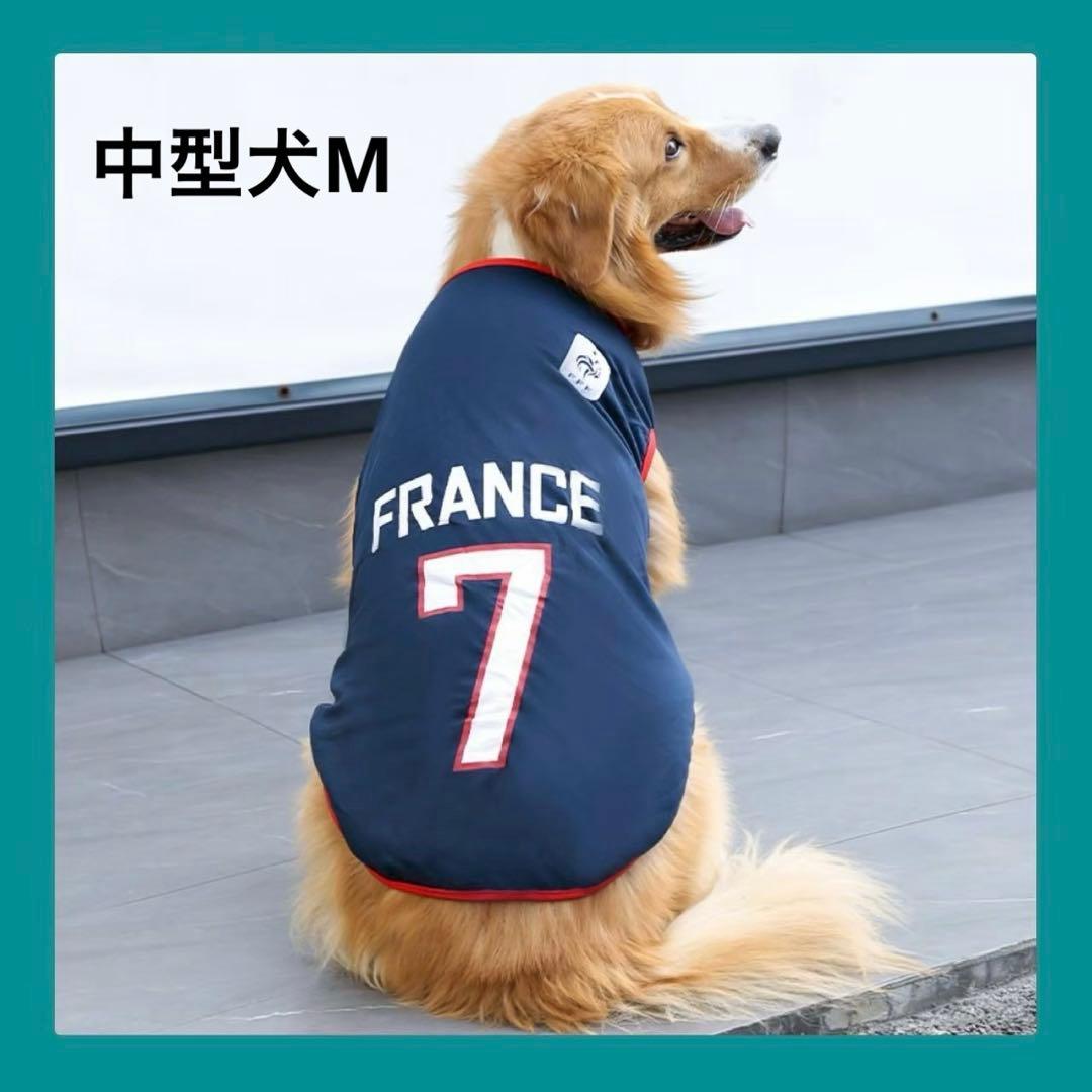 Dog Soccer Jersey, France National Team Style, M Size, Number 7, Pet Clothing, World Cup