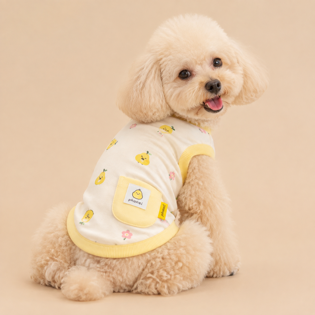 [New] Floral Frill Dog Dress, Small Dog M, 2-Piece Set